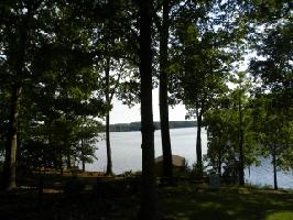 83 Anchor Drive