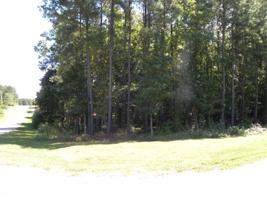 Lot 125 Overlook Drive