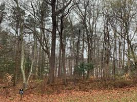 #19 Mountain Rock Trail