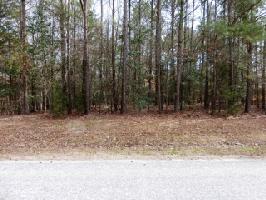 29 Hawks Nest Drive
