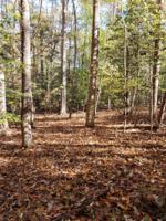 Lot 30 Section B