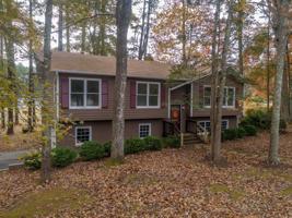 424 Dogwood