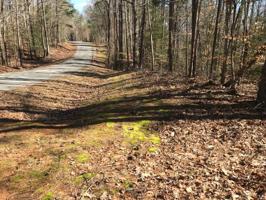Lot 31 St. Tammany Landing