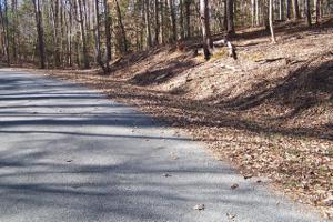 Lot 80 St.Tammany Drive