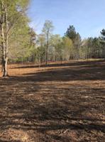 Lot 4 Barker Road