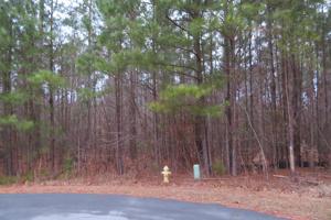 Lot 17 Halyard Drive