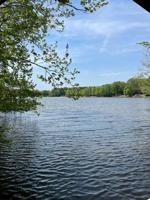 Lot 28 Fork Field Rd.