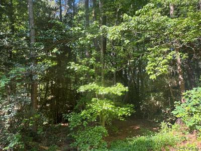 Lot 56P Hickory Ct