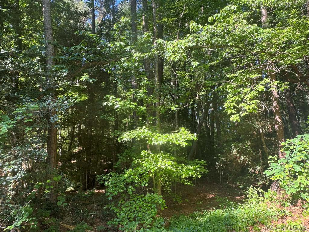 Image 1: Main View