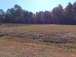 Lot #151 Knotts Lane