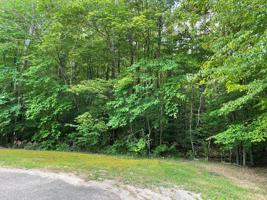 Lot 6 Jamestown Lane