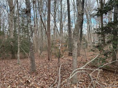 Lot 17 Oakwood Ct.