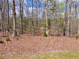 Lot 25E Sycamore Court