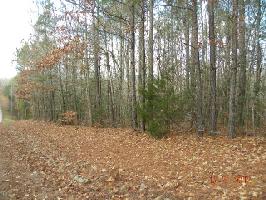 Lot 44 Hawks Nest Drive