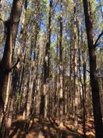 Lot 76 Granite Hall Shores