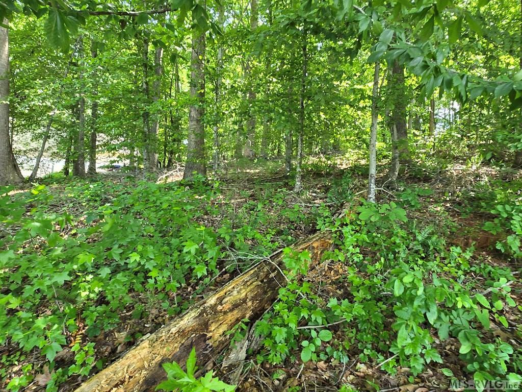 Image 3: Interior of lot, lake to road view