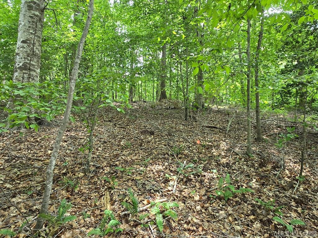 Image 4: Interior of lot - road to lake view