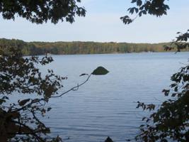 Lot 55 Mountain Rock Trail