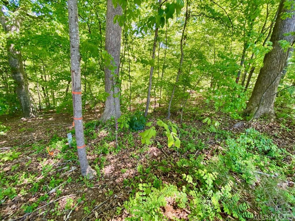 Image 4: Left Front Corner