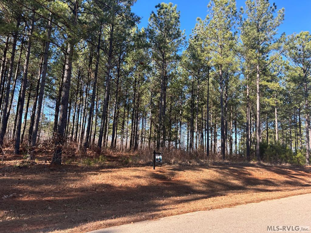 Image 2: Road front Pinnacle Shores Dr