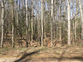 Lot 19 Owls Nest