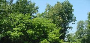 25 Lot 25 McKayla Ln