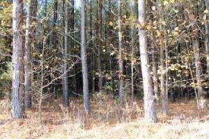 Lot 121 Hawtree Way