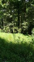 0 Fairview Terrace