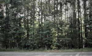 Keats Rd