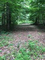 Lot 32 Cliffside Drive