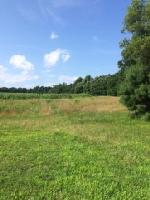 0 Massie Branch Rd
