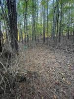 Lot 42 Mallard Dr