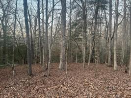 30 BUCKHEAD DRIVE