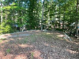 33 Hiwasse Trail