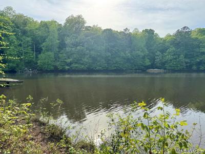 Lot 8 Canoe Creek Drive
