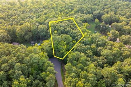 Lot 42 Palm Ln.