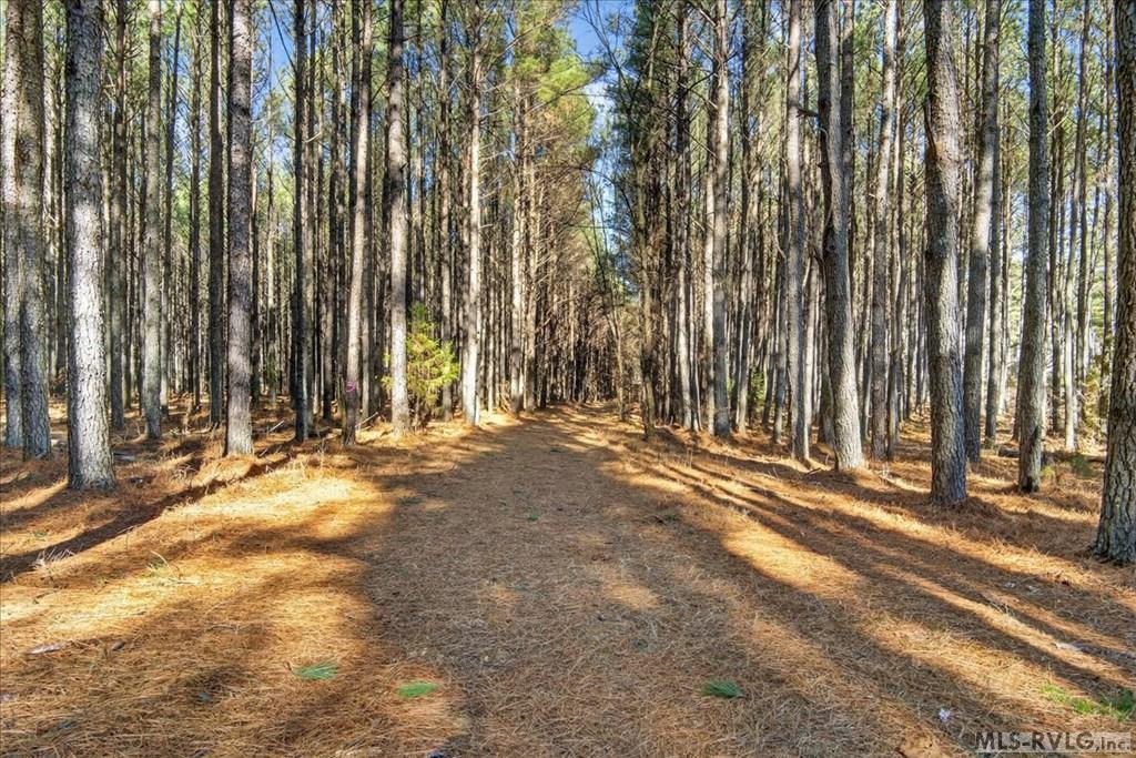 Image 2: Path through property, The property can be walked easily, allowing the opportunity to see multiple potential home site locations