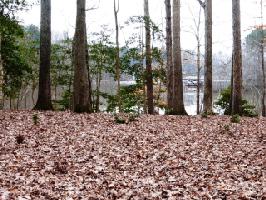 Lot #27 Mountain Rock Trail