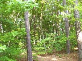 Lot 68-71 Roanoke Rapids