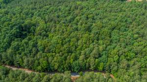 Lot 20 Owls Nest Drive