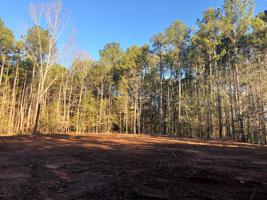 lot 74 Buckhead