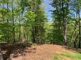 Lot 78 Sect 2 Claiborne Road