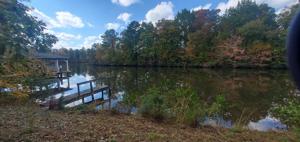 Poplar Creek