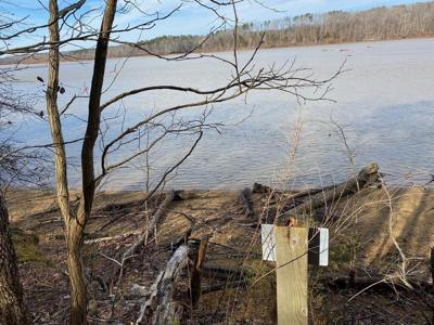 15-15BR Palomino Road