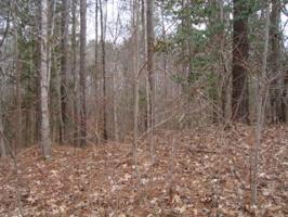Lot 85A Windsong Drive