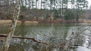 1 Lake Point Court