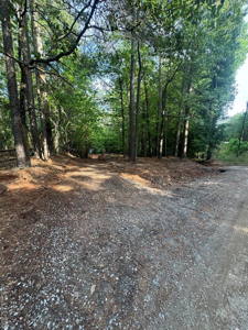 Forest Cove Dr