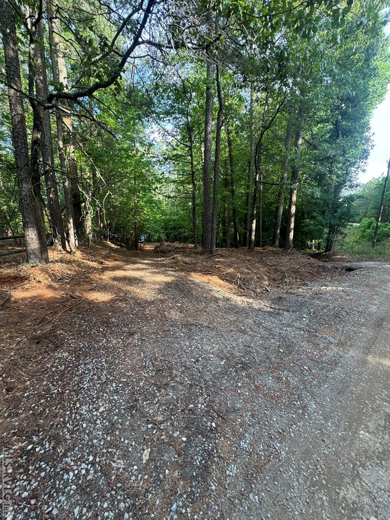 Image 1: Main View