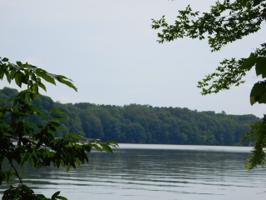 46 Mountain Rock Trail