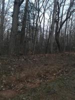 Lot 35 Maplewood Lane